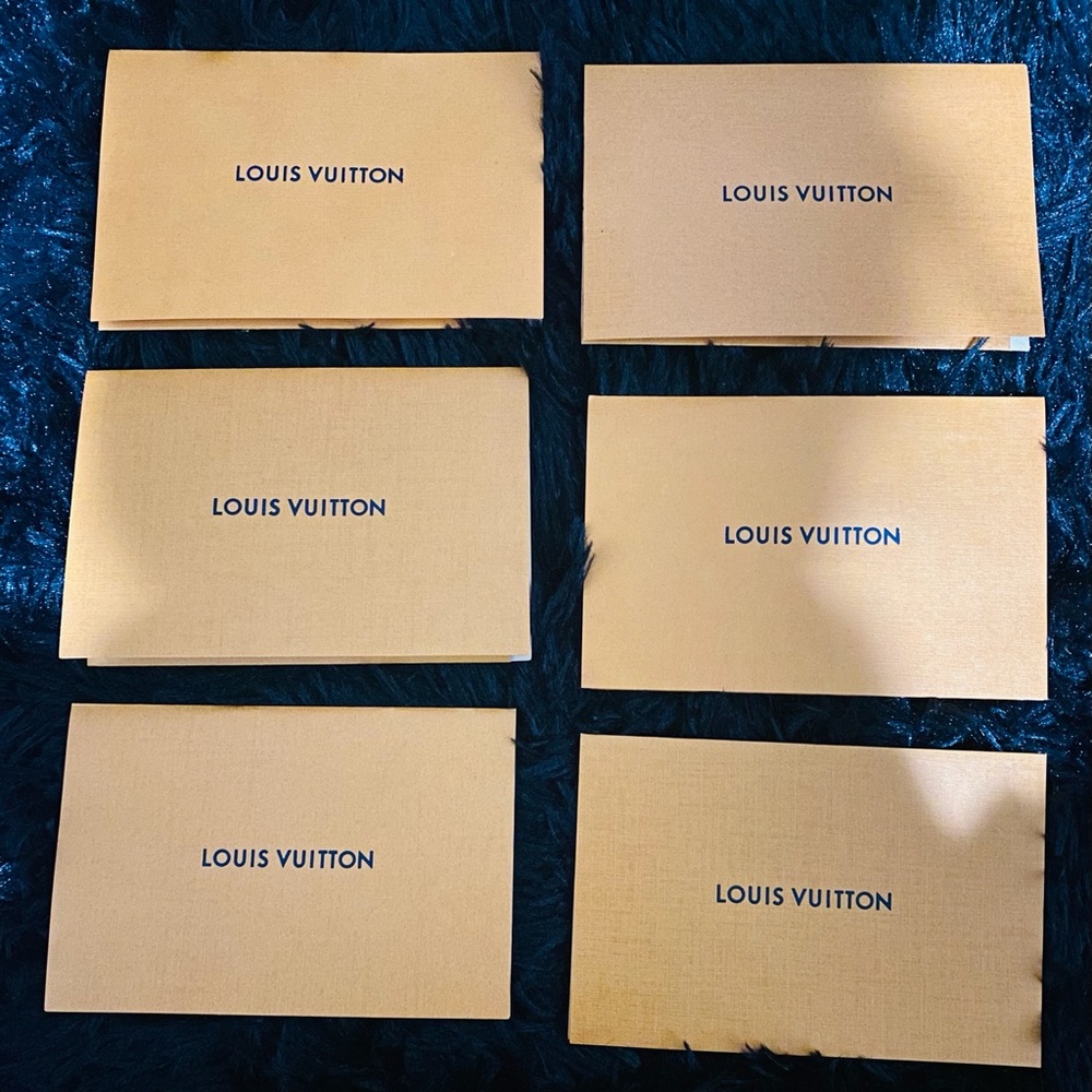 Louis Vuitton Envelopes (6)